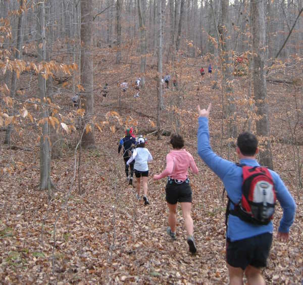 A Scene on the trail