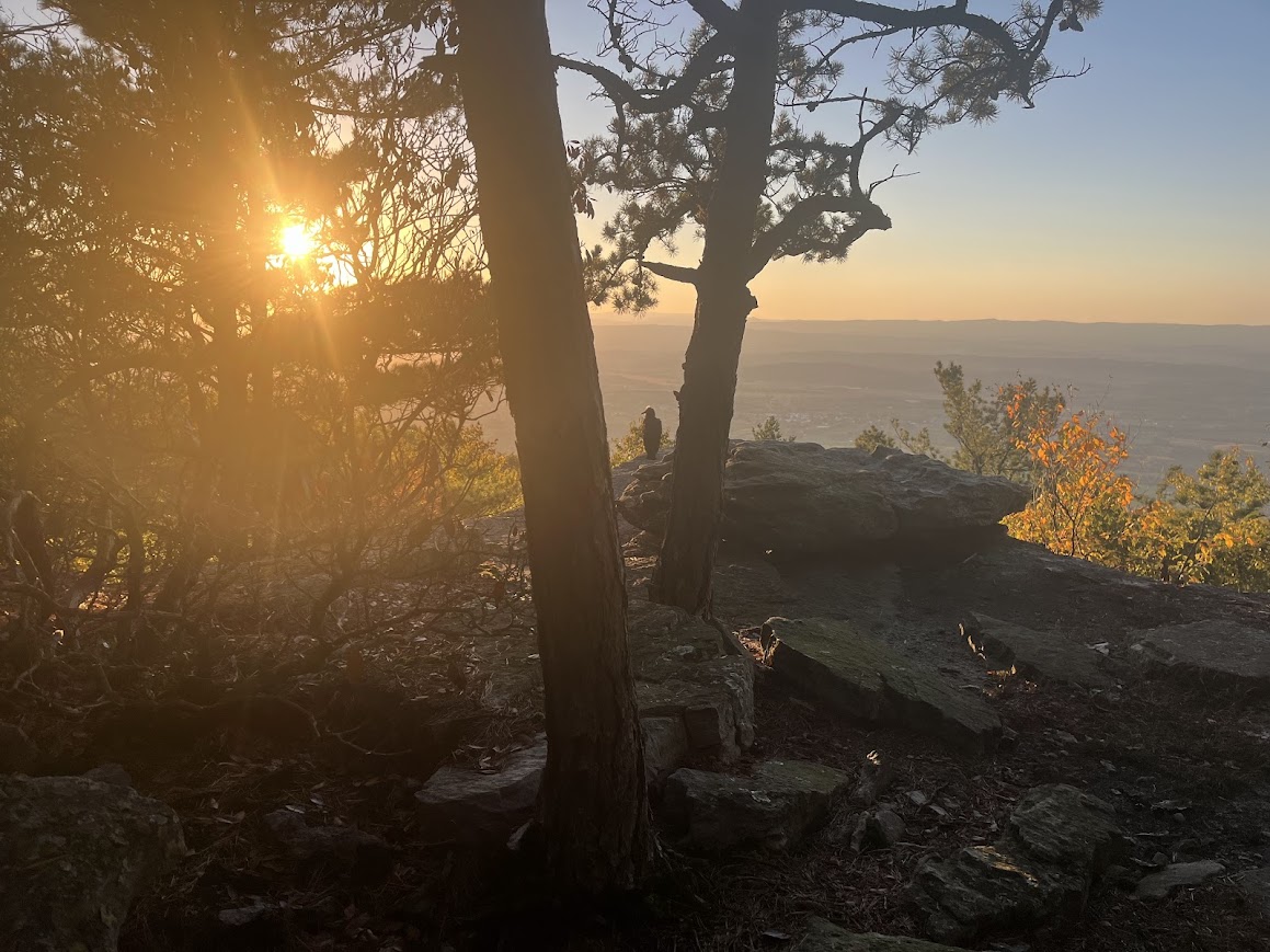 Friendly vulture enjoying the sunset from Bird Knob