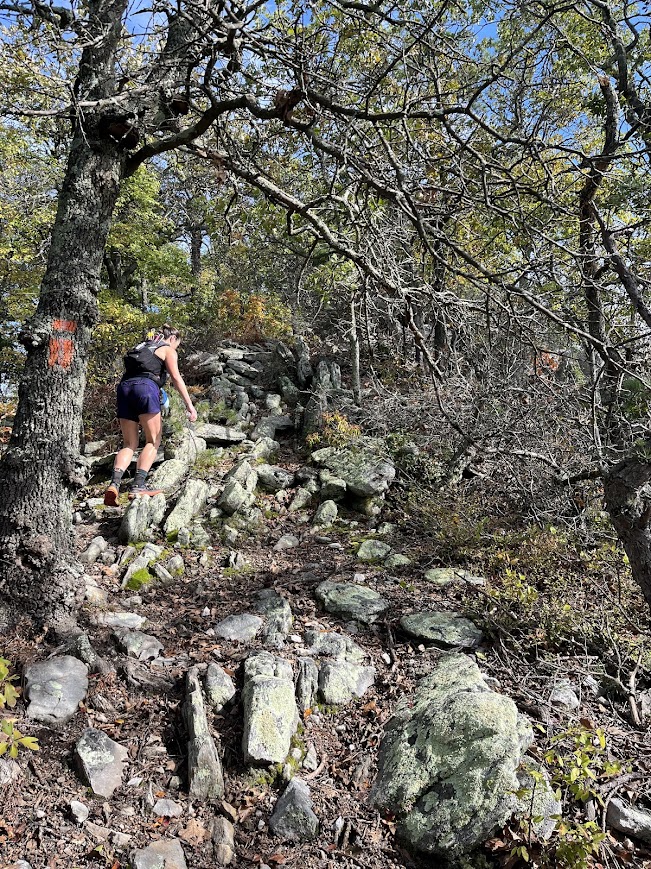 Jana climbing along the orange-blazed Massanutten Trail