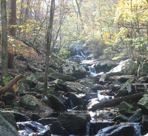 On the Potomac Heritage Trail upstream from Turkey Run