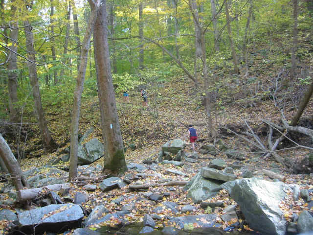 The trail upstream from Turkey Run.