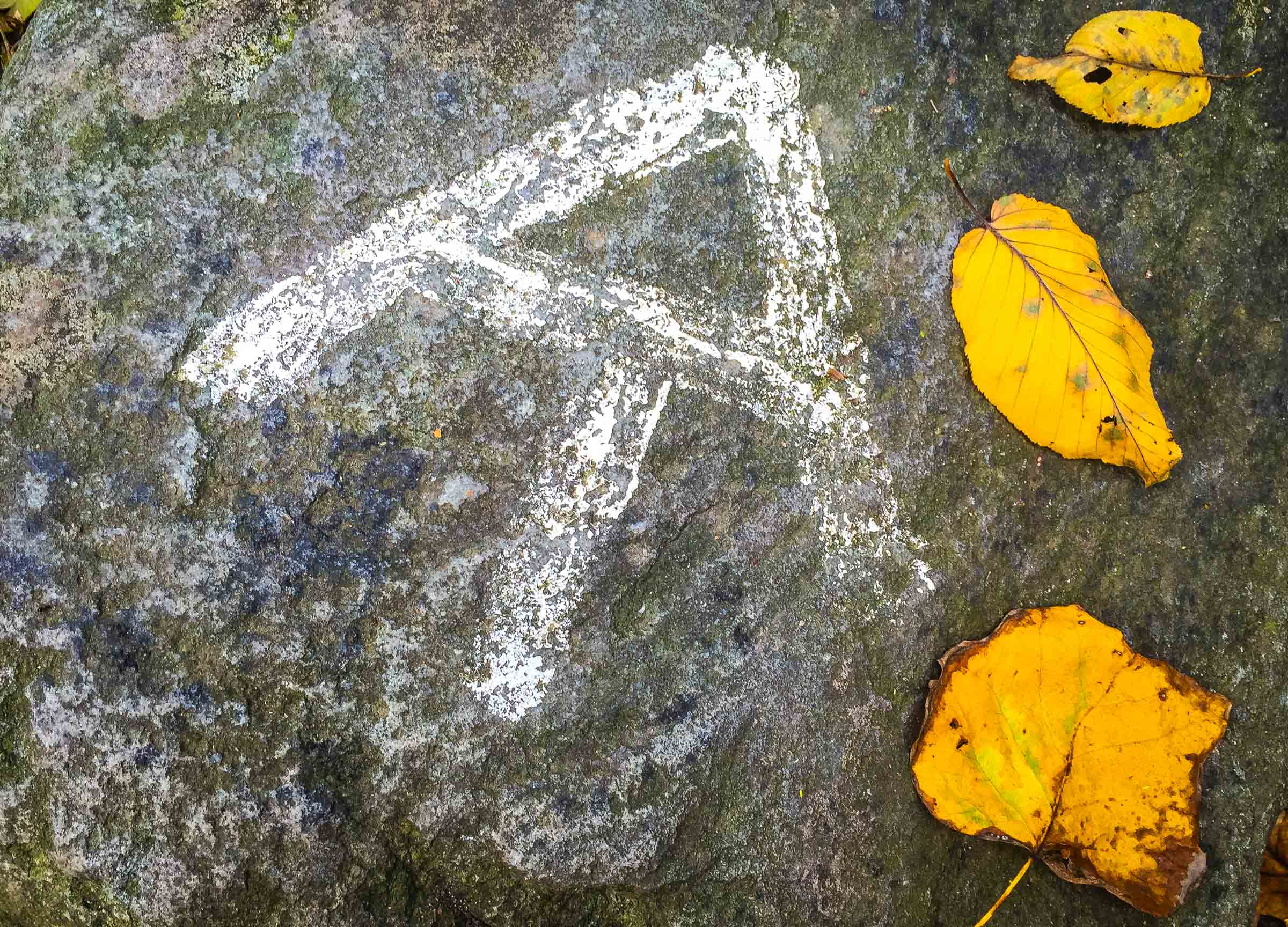 Autumn on the Appalachian Trail