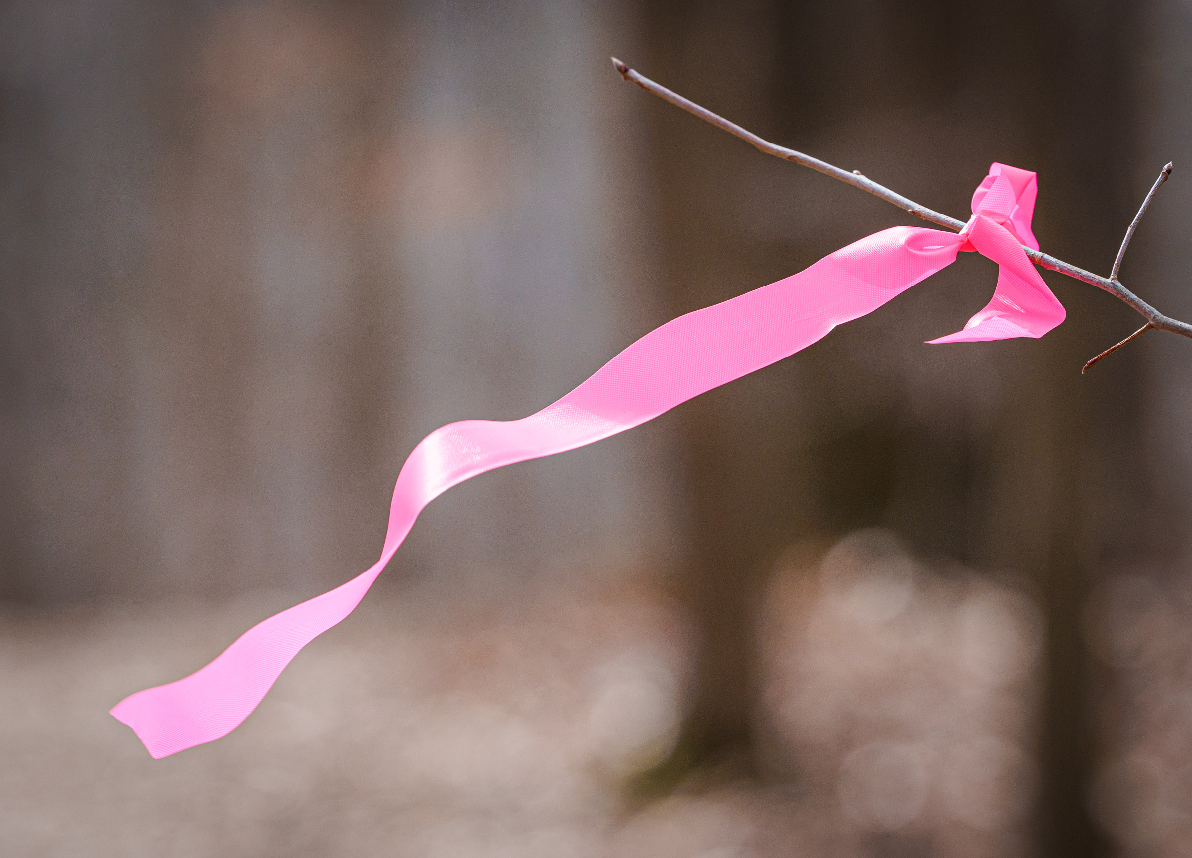 The course is marked with pink ribbons