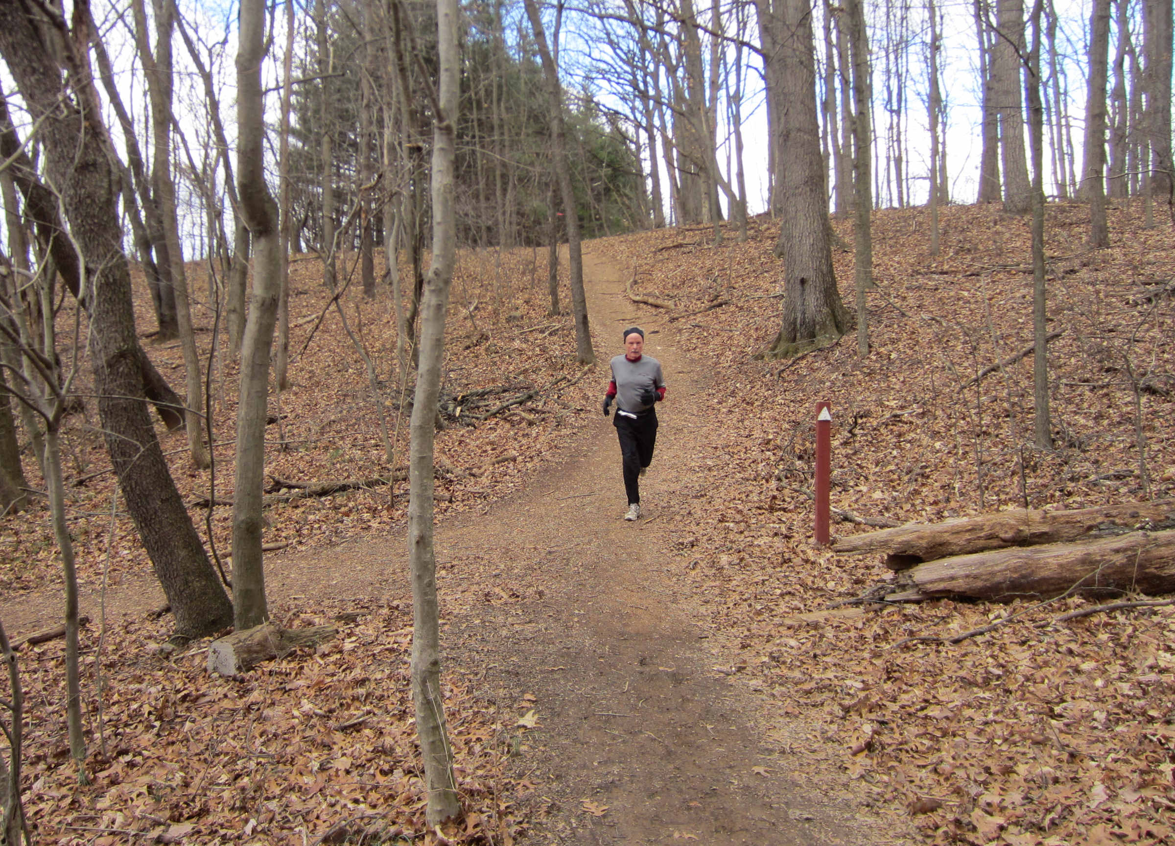 Trail through the woods at Hashawha Hills