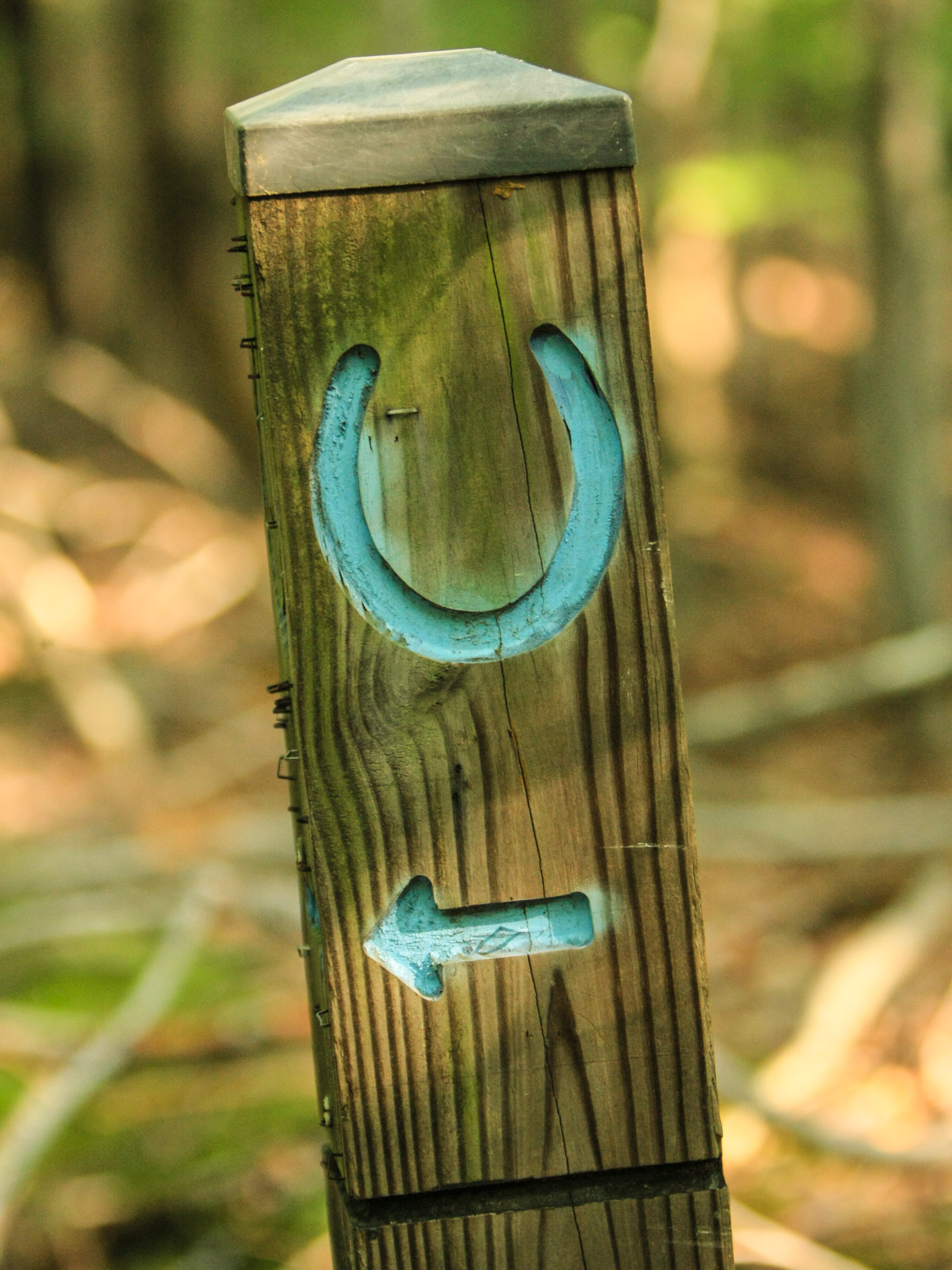 Yes, the Do Loop is marked (in places)