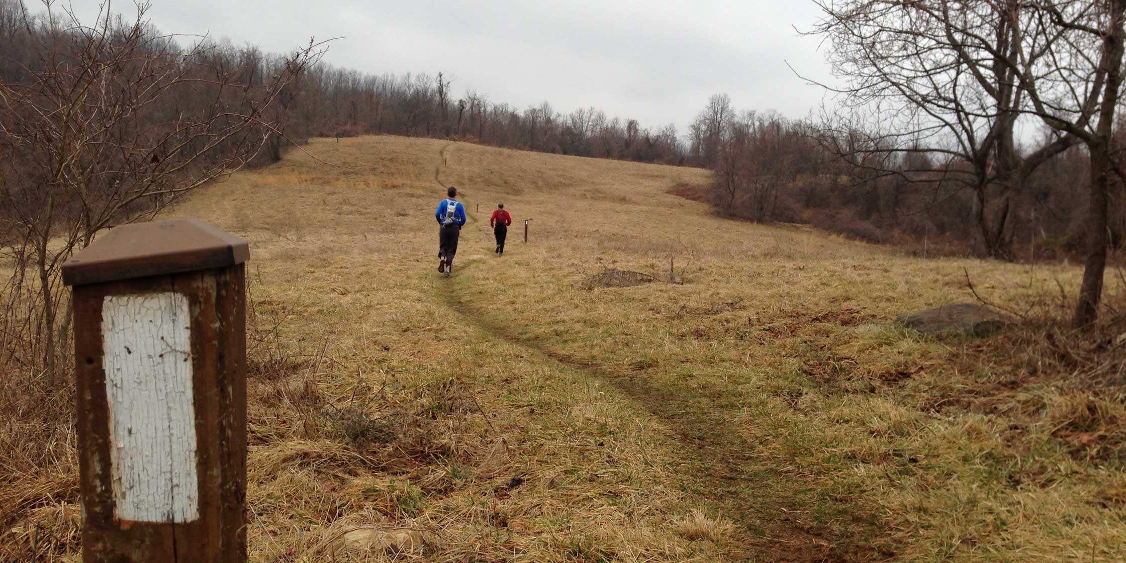 Heading south on the Appalachian Trail, at the top of the first climb