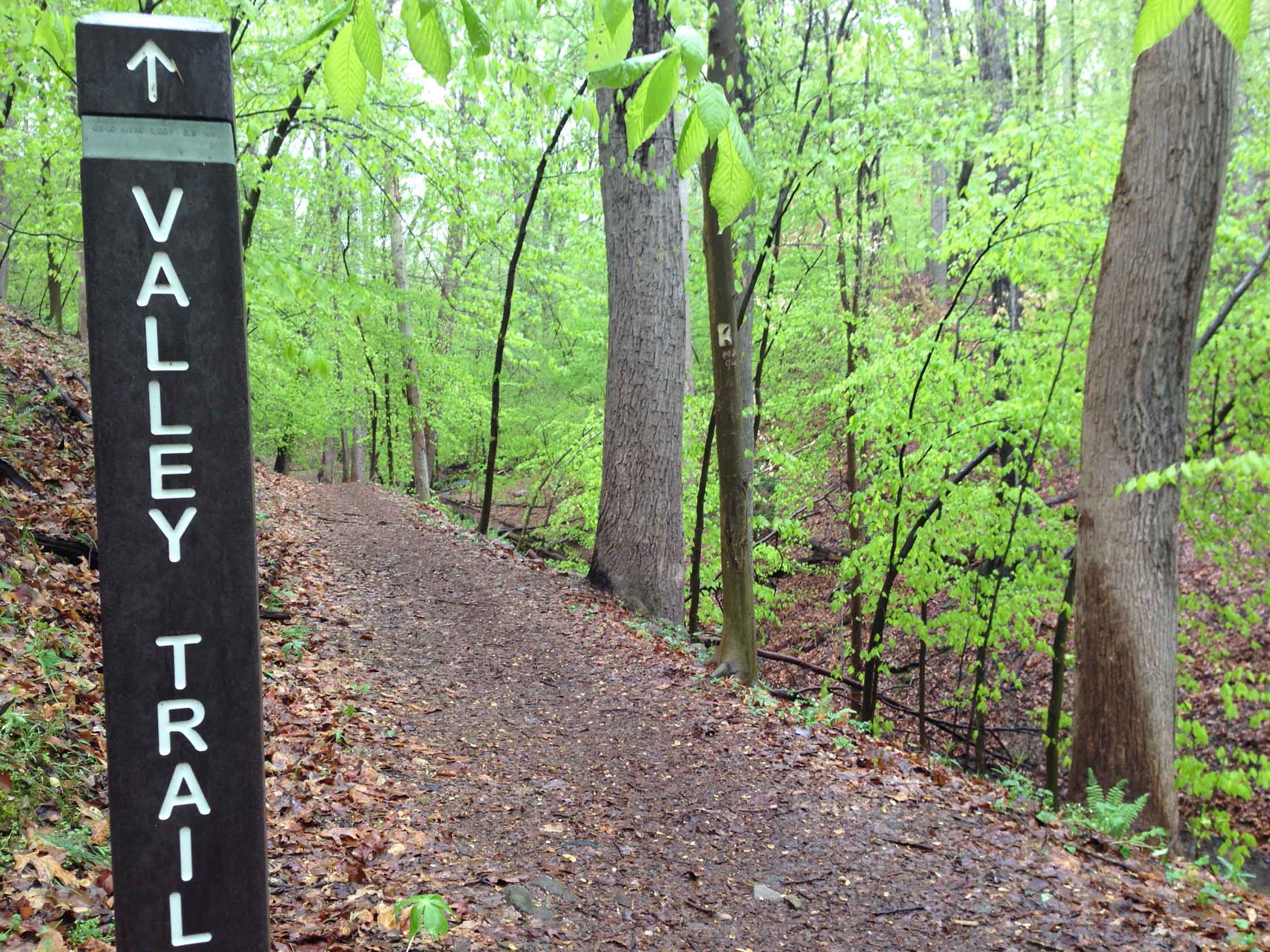 Trail at Great Falls